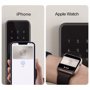 aqara A100 pro homekey methods.jpg